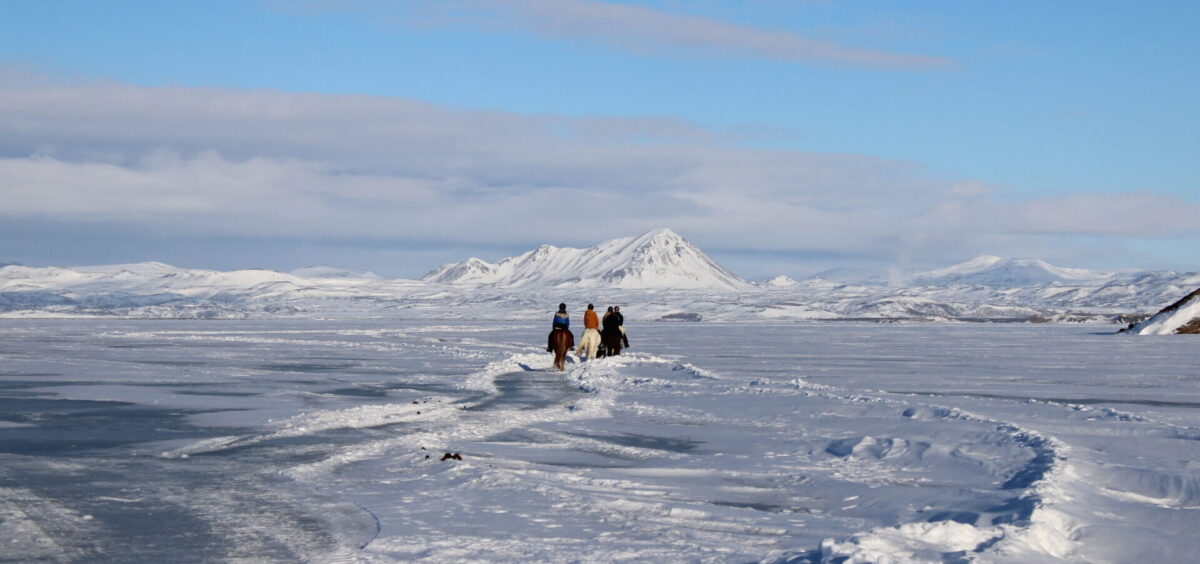 Safari hestar riding on ice